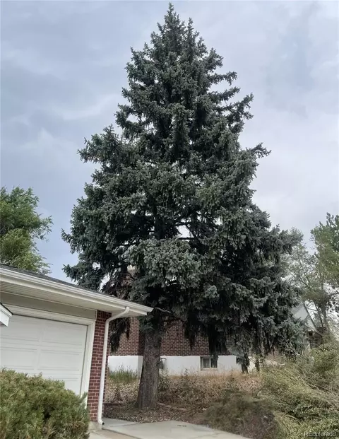 2601 E Weaver Ave, Centennial, CO 80121 photo 3