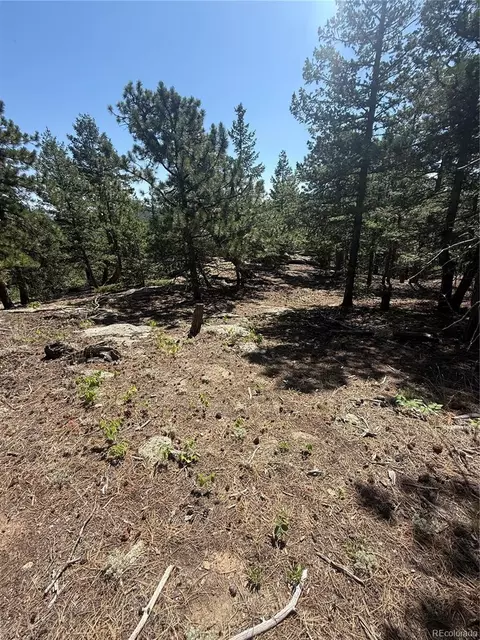 11548 Overlook Dr, Golden, CO 80403