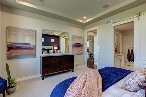 20383 E 53rd Dr, Denver, CO 80249 photo 18