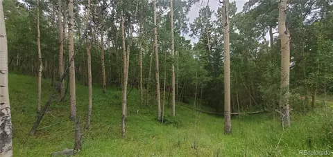 lot6882 Donna Rd, Fort Garland, CO 81133