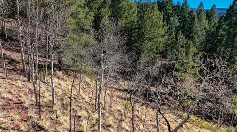 741 Pikes Peak Dr, Divide, CO 80814 photo 5