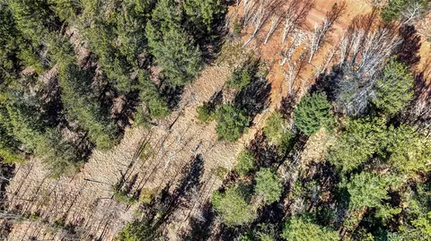 741 Pikes Peak Dr, Divide, CO 80814 photo 6