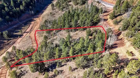 741 Pikes Peak Dr, Divide, CO 80814 photo 3