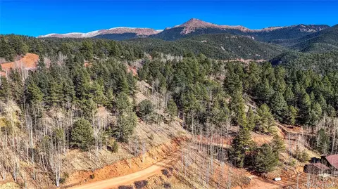 741 Pikes Peak Dr, Divide, CO 80814