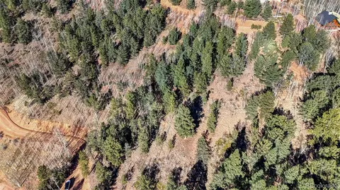 741 Pikes Peak Dr, Divide, CO 80814 photo 21