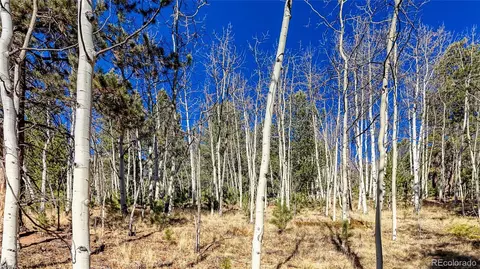 741 Pikes Peak Dr, Divide, CO 80814 photo 4