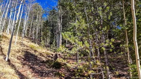 741 Pikes Peak Dr, Divide, CO 80814 photo 11