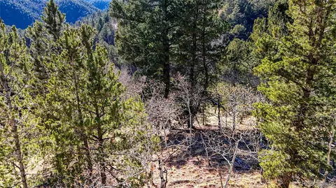 741 Pikes Peak Dr, Divide, CO 80814 photo 24