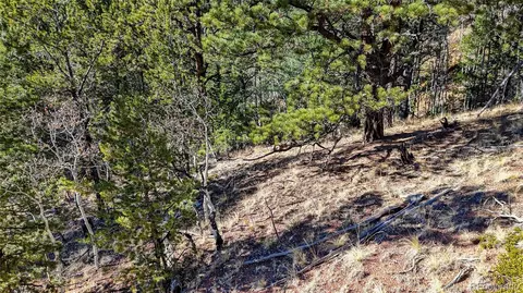 741 Pikes Peak Dr, Divide, CO 80814 photo 23