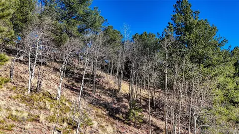 741 Pikes Peak Dr, Divide, CO 80814 photo 22