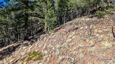 741 Pikes Peak Dr, Divide, CO 80814 photo 9