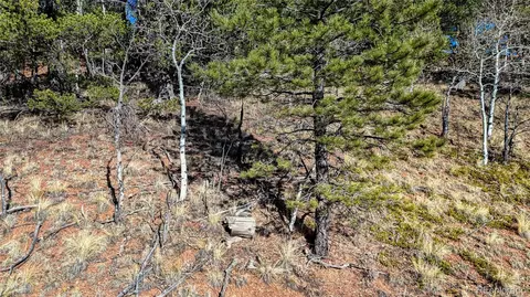 741 Pikes Peak Dr, Divide, CO 80814 photo 13