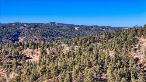 741 Pikes Peak Dr, Divide, CO 80814 photo 7