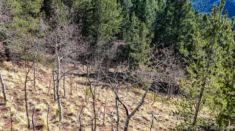 741 Pikes Peak Dr, Divide, CO 80814 photo 10