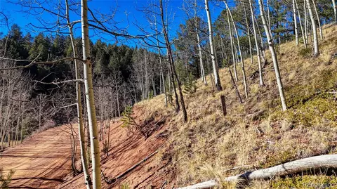 741 Pikes Peak Dr, Divide, CO 80814 photo 30
