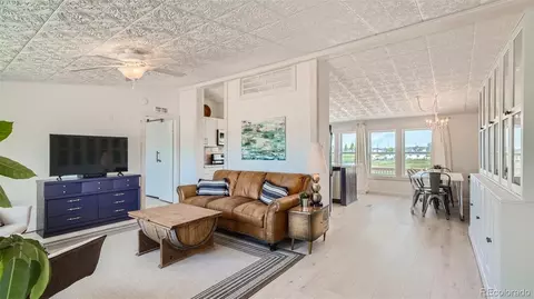 271 E Minstrel Dr, Divide, CO 80814 photo 4