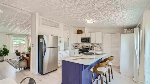 271 E Minstrel Dr, Divide, CO 80814 photo 9