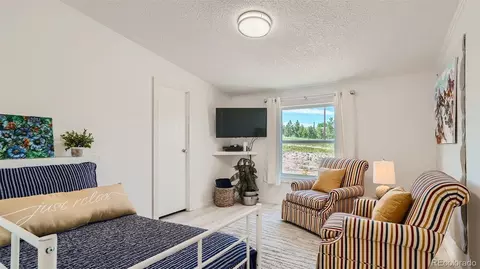 271 E Minstrel Dr, Divide, CO 80814 photo 20