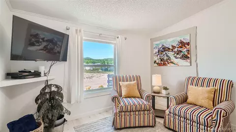 271 E Minstrel Dr, Divide, CO 80814 photo 22