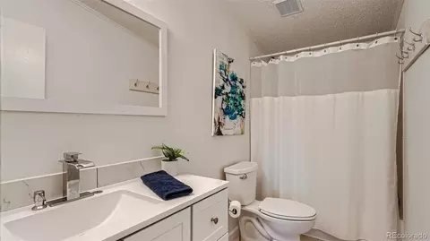271 E Minstrel Dr, Divide, CO 80814 photo 23