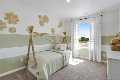374 Tailholt Ave, Severance, CO 80550 photo 6