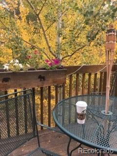 89 W Dory Way, Black Hawk, CO 80422 photo 38