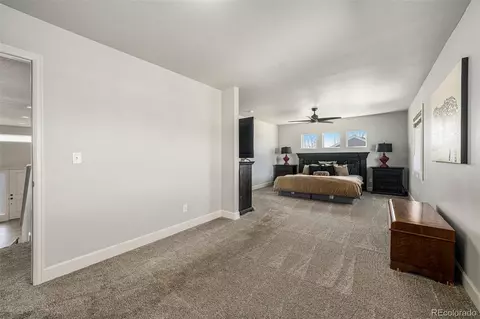 111 E Ilex Ct, Milliken, CO 80543 photo 11