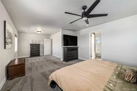 111 E Ilex Ct, Milliken, CO 80543 photo 10