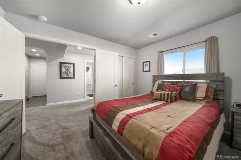 111 E Ilex Ct, Milliken, CO 80543 photo 22