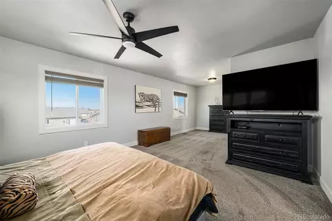 111 E Ilex Ct, Milliken, CO 80543 photo 9