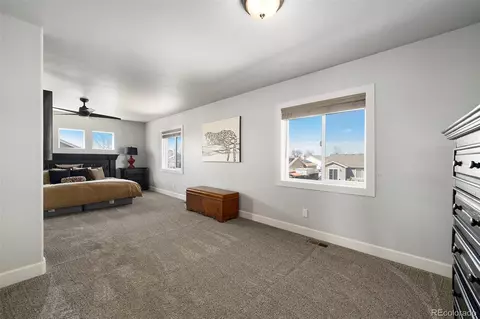 111 E Ilex Ct, Milliken, CO 80543 photo 8