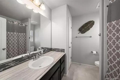 111 E Ilex Ct, Milliken, CO 80543 photo 23