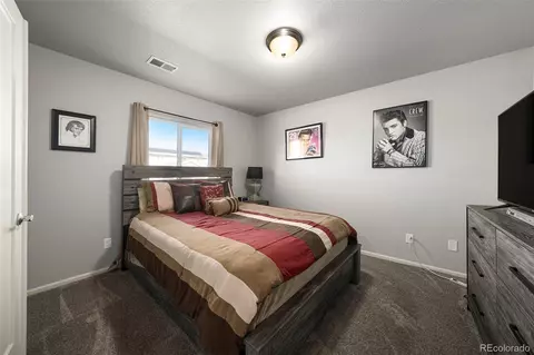 111 E Ilex Ct, Milliken, CO 80543 photo 21