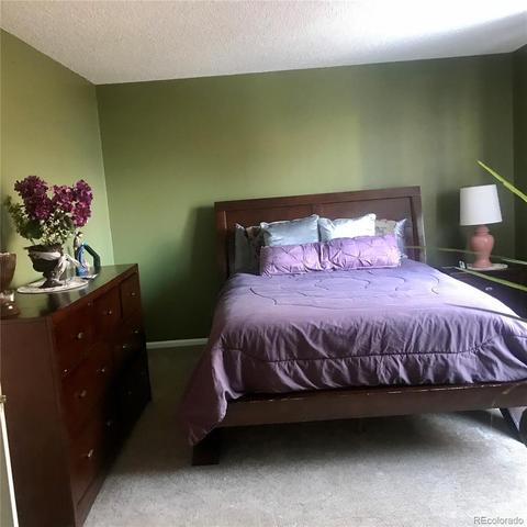 21103 E 44th Ave, Denver, CO 80249 photo 10