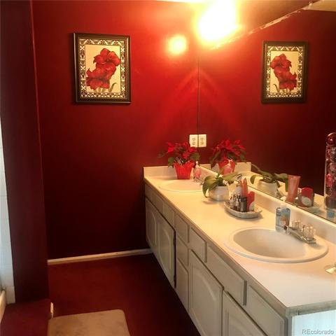 21103 E 44th Ave, Denver, CO 80249 photo 12