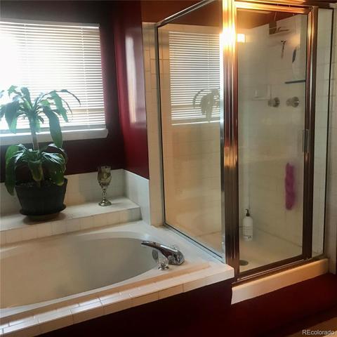 21103 E 44th Ave, Denver, CO 80249 photo 13