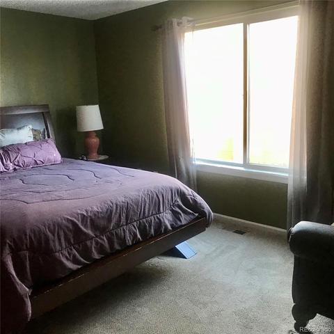 21103 E 44th Ave, Denver, CO 80249 photo 11