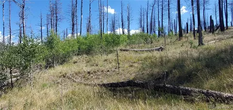 lot1064 Reed Ln, Fort Garland, CO 81133