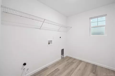 Other - 912 Steppe Ln, Windsor, CO 80550 photo 5 of 6