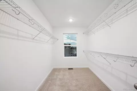 Other - 912 Steppe Ln, Windsor, CO 80550 photo 6 of 6