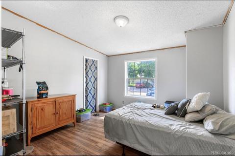 311 Becky St, Wiggins, CO 80654 photo 14