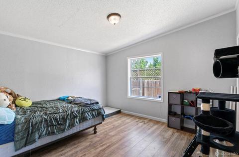 311 Becky St, Wiggins, CO 80654 photo 15
