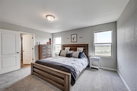 17939 E 54th Ave, Denver, CO 80249 photo 19