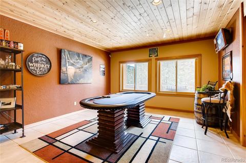 22231 Alpine Mdws, Morrison, CO 80465 photo 29