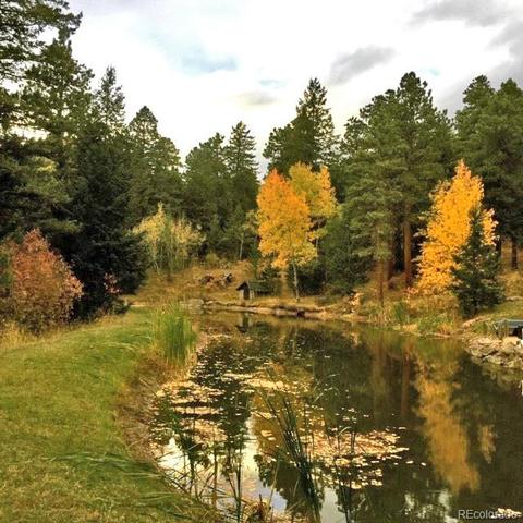 22231 Alpine Mdws, Morrison, CO 80465 photo 4