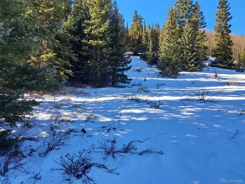 3553 River Dr, Alma, CO 80420
