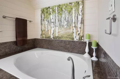 4615 Mesa, Cascade, CO 80809 photo 29