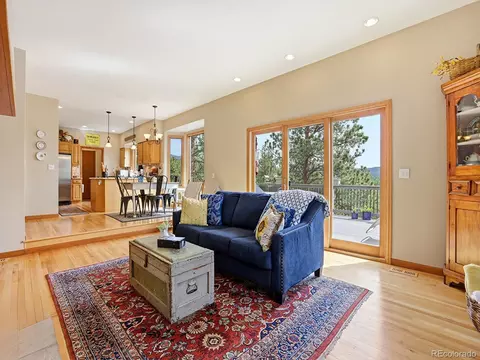 Living - 13532 Douglass Ranch Dr, Pine, CO 80470 photo 6 of 7