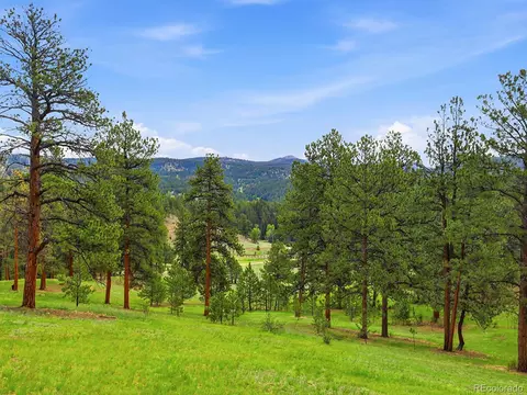 Other - 13532 Douglass Ranch Dr, Pine, CO 80470 photo 8 of 9
