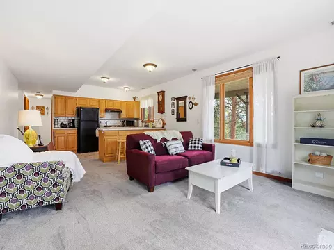 Living - 13532 Douglass Ranch Dr, Pine, CO 80470 photo 7 of 7